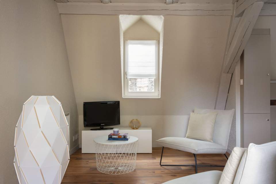 L'En-Tête 3 - Appartement de Luxe Colmar - Maison des Têtes