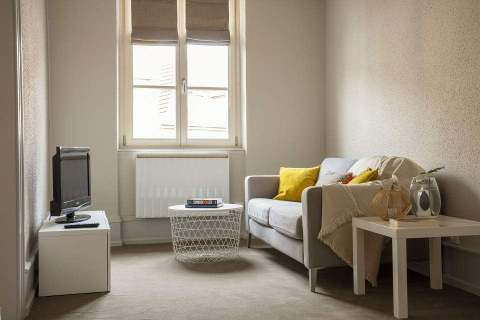 L'En-tête 2 - Appartement de Luxe Colmar - Maison des Têtes